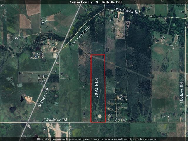 868 Lisa Mae Road, Bellville, TX 77418