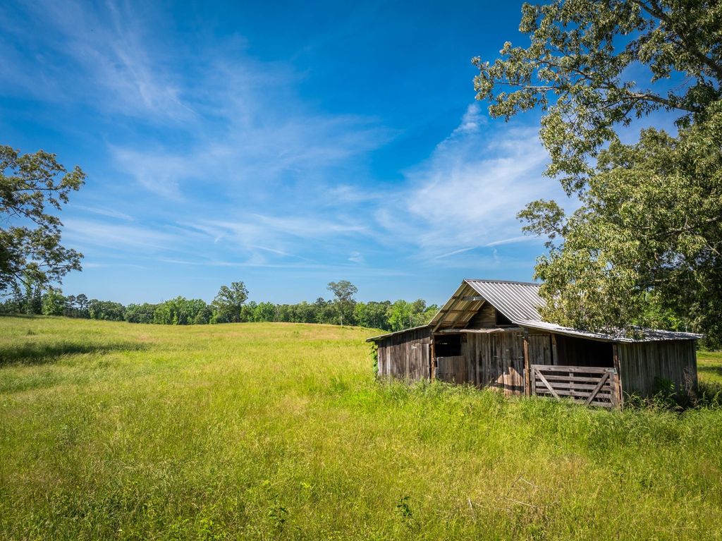 3843 Timberlake Wildersville Road, Lexington, TN 38351