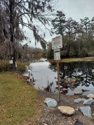 Lot 208 Prices Bridge Lane, Walterboro, SC 29488