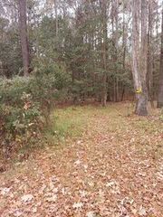 Lot 208 Prices Bridge Lane, Walterboro, SC 29488