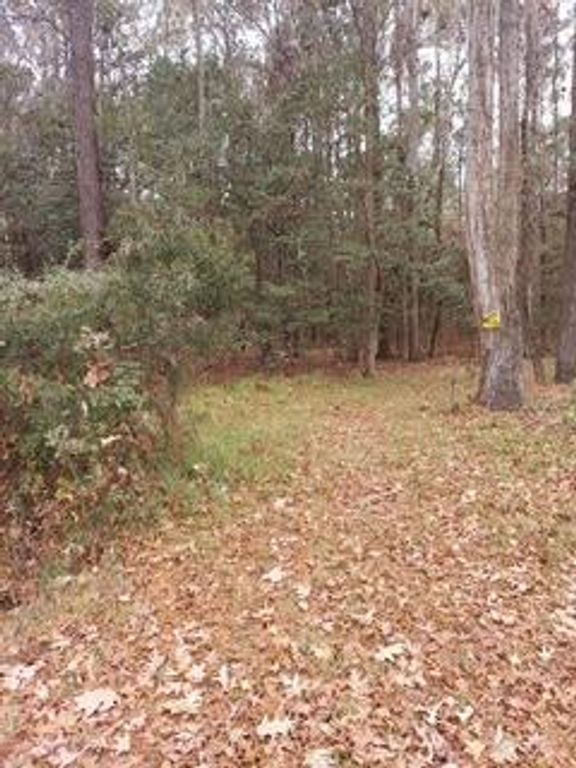 Lot 208 Prices Bridge Lane, Walterboro, SC 29488