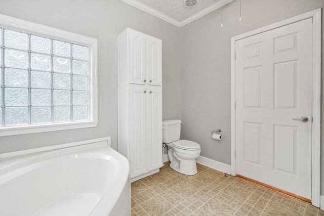 31 Palmetto Point Lane, Edisto Island, SC 29438