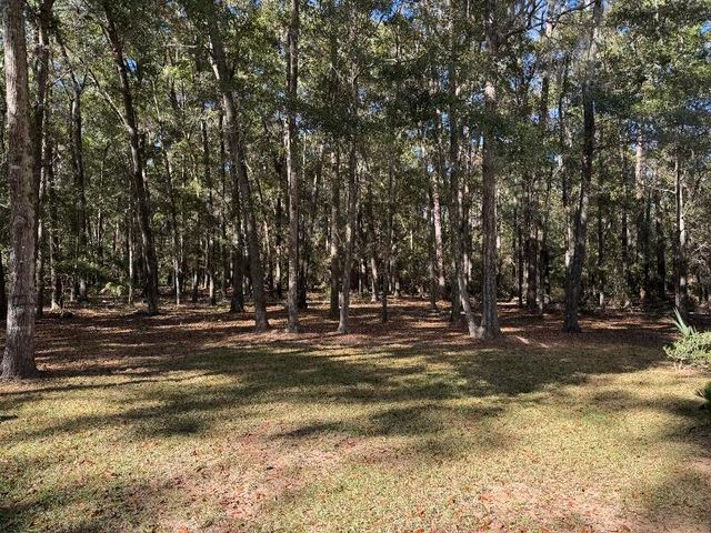 31 Palmetto Point Lane, Edisto Island, SC 29438
