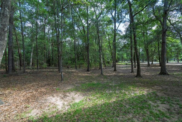 31 Palmetto Point Lane, Edisto Island, SC 29438
