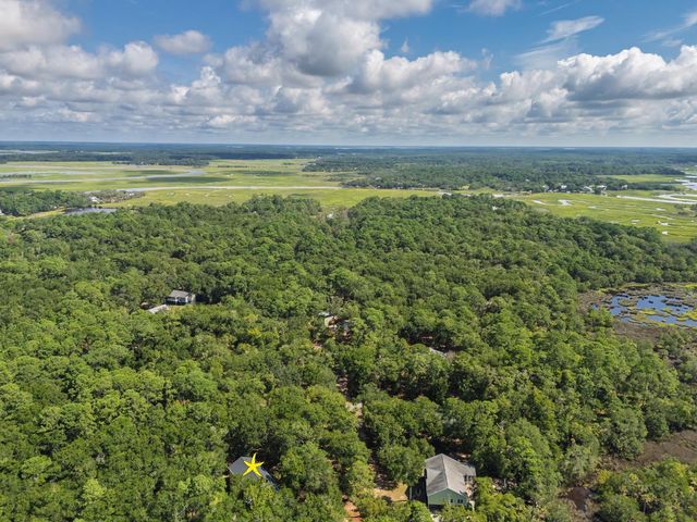31 Palmetto Point Lane, Edisto Island, SC 29438