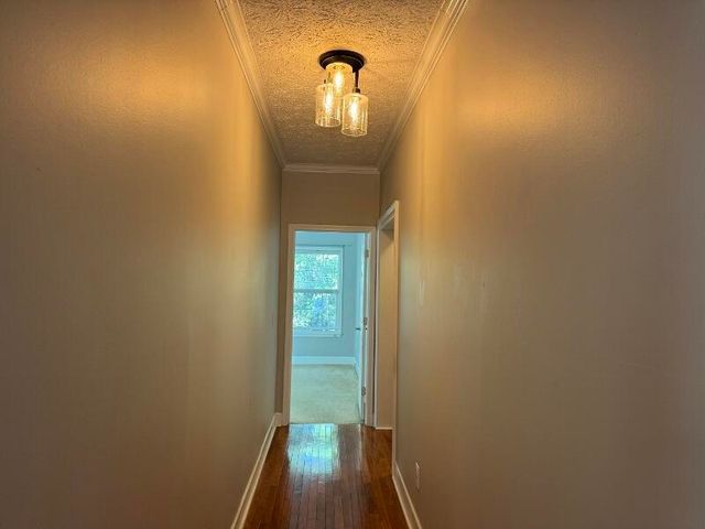 31 Palmetto Point Lane, Edisto Island, SC 29438