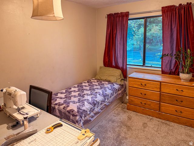 1539 E 450 S, Springville, UT 84663