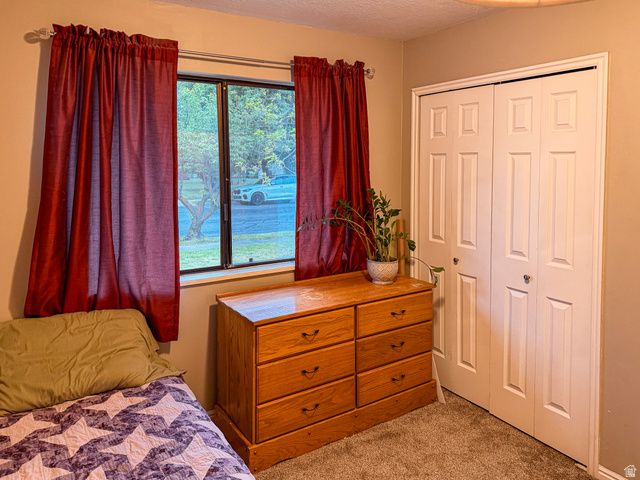 1539 E 450 S, Springville, UT 84663