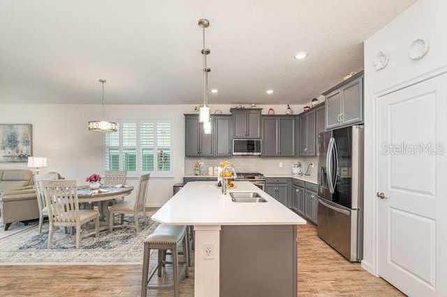 2392 SIRENA LANE, Mount Dora, FL 32757