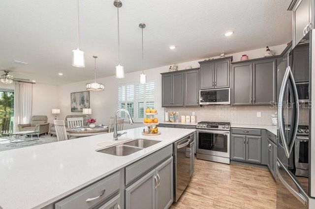 2392 SIRENA LANE, Mount Dora, FL 32757