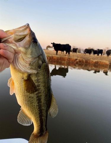 528 E Cottonwood Road, Washington, OK 73093