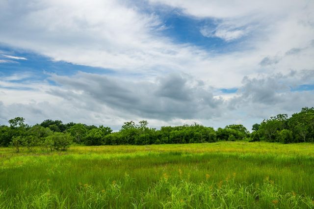 208 Cr 208, Danbury, TX 77534