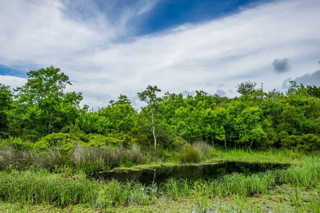 208 Cr 208, Danbury, TX 77534