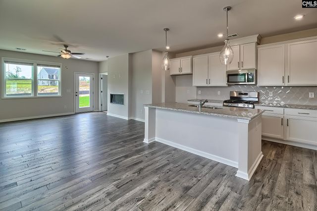 563 Swamp Grass Drive, Columbia, SC 29209