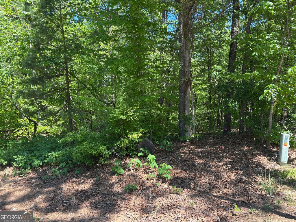 LOT 15 Cross Creek Drive, Toccoa, GA 30577 — photo 2