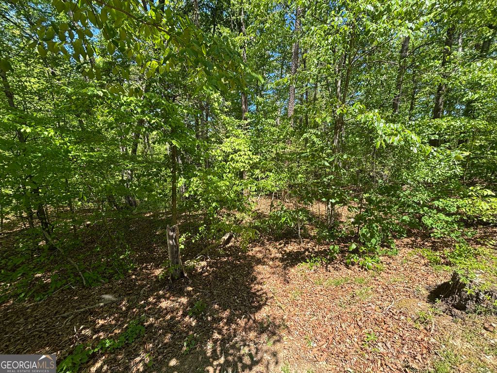LOT 15 Cross Creek Drive, Toccoa, GA 30577 — photo 4