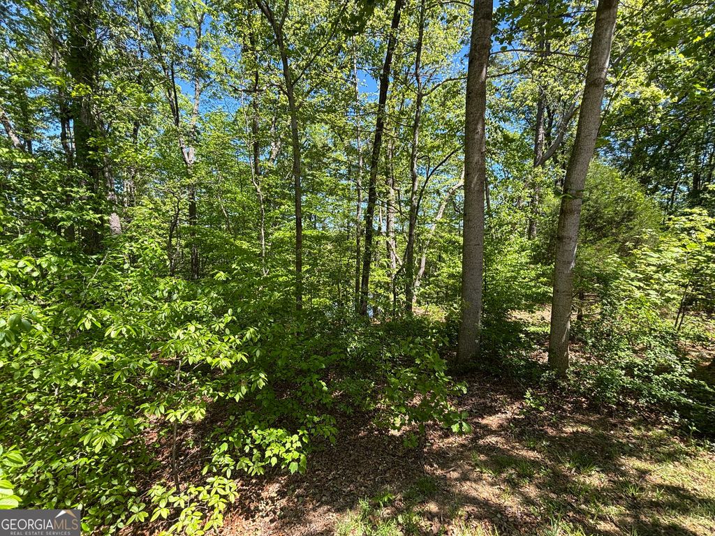 LOT 15 Cross Creek Drive, Toccoa, GA 30577 — photo 5