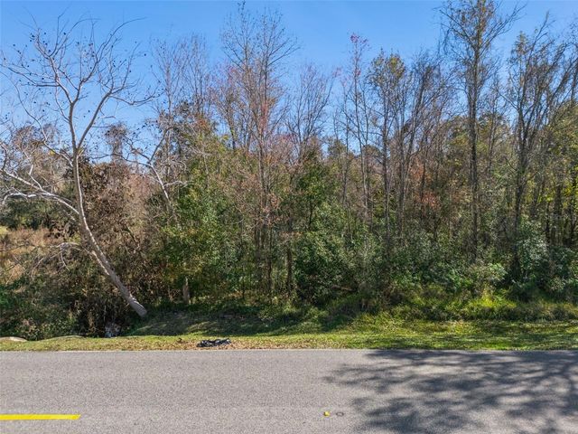 1025 SUNFLOWER TRAIL, Orlando, FL 32828