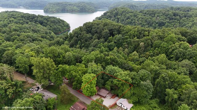 450 Cedar Hill Rd, Celina, TN 38551