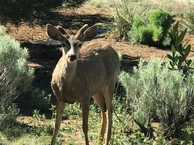 26 and 24 Sierra del Sol, Santa Fe, NM 87508
