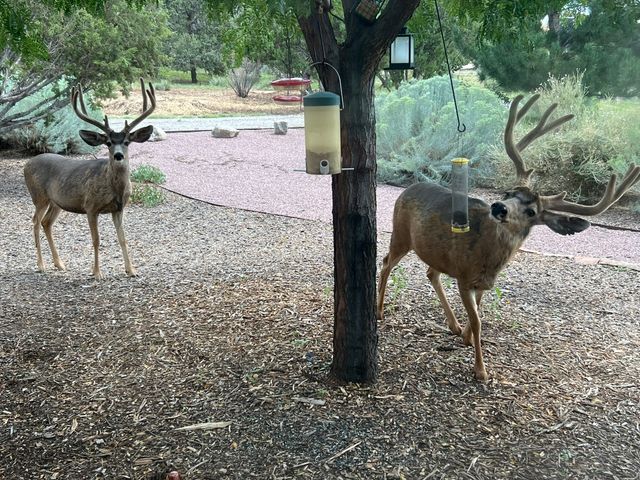 26 and 24 Sierra del Sol, Santa Fe, NM 87508