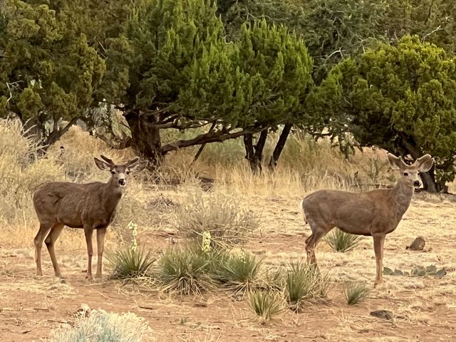 26 and 24 Sierra del Sol, Santa Fe, NM 87508