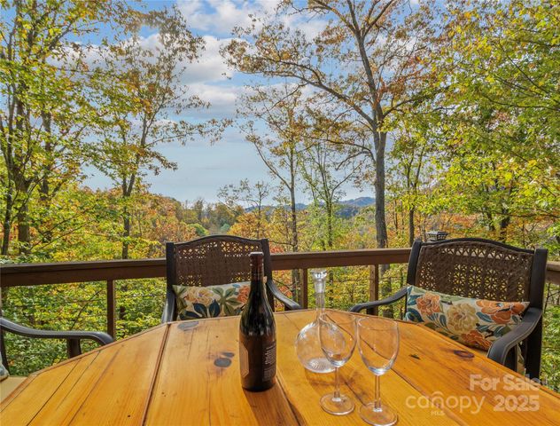 351 Buck Springs Run, Mars Hill, NC 28754