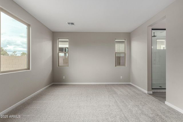 4828 W STARGAZER Place, Laveen, AZ 85339