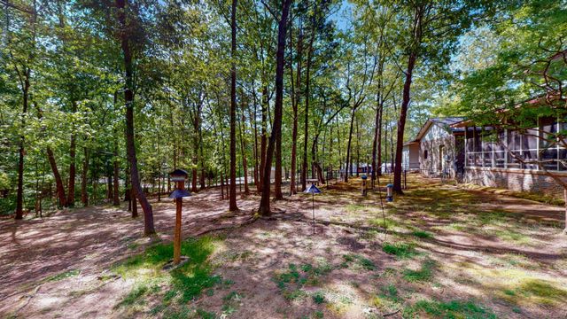35 Davis Rd, Springville, TN 38256