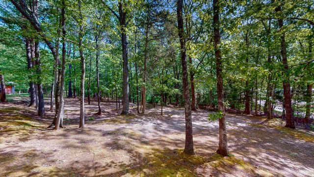 35 Davis Rd, Springville, TN 38256