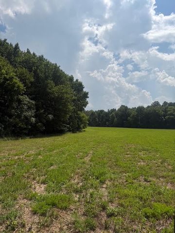 0 Friendship Road, Cross Plains, TN 37049