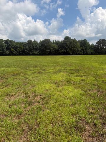 0 Friendship Road, Cross Plains, TN 37049