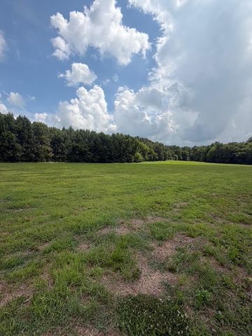 0 Friendship Road, Cross Plains, TN 37049