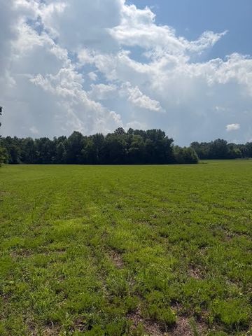 0 Friendship Road, Cross Plains, TN 37049