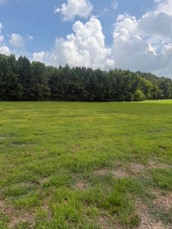 0 Friendship Road, Cross Plains, TN 37049