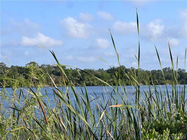 19896 SE 110th Court, Inglis, FL 34449