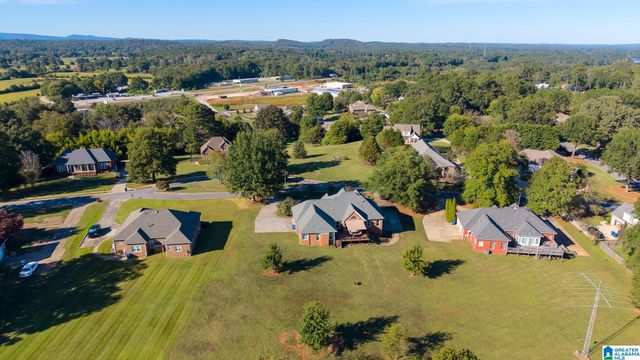 45 CHERRY TREE LANE, Cropwell, AL 35054