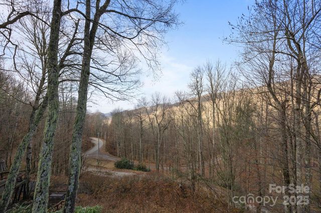 959 Plott Balsam Road, Maggie Valley, NC 28751