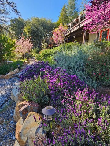 19736 Jesus Maria, Mokelumne Hill, CA 95245