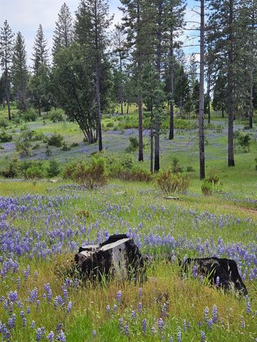 19736 Jesus Maria, Mokelumne Hill, CA 95245