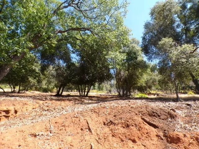 3178 Skyline, Kelseyville, CA 95451