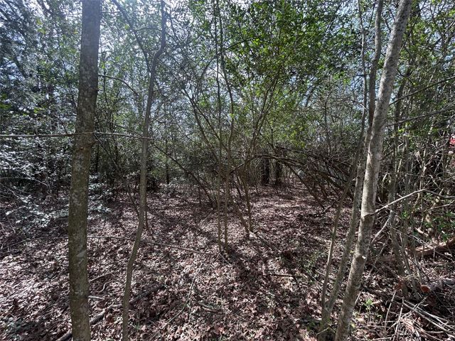 TBD Park DR, Bastrop, TX 78602