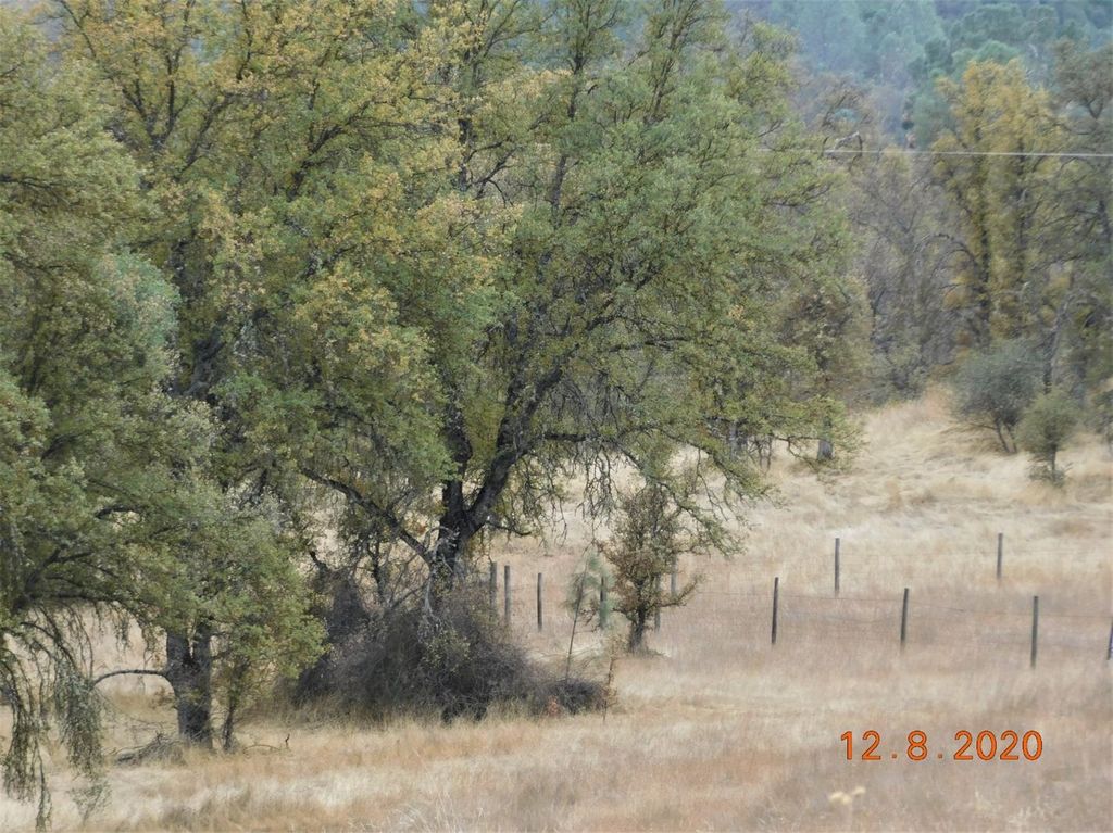 Image 3 of property listing at 32705 E Sycamore Road, Tollhouse, CA 93667