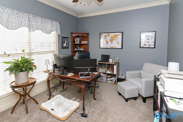 25166 Castlebury Drive, Athens, AL 35613