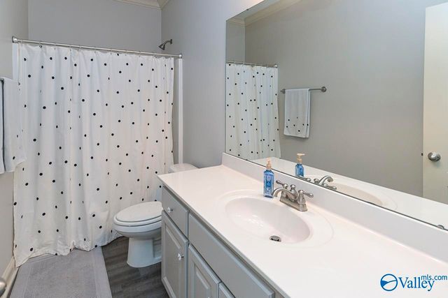 25166 Castlebury Drive, Athens, AL 35613