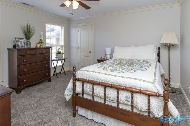 25166 Castlebury Drive, Athens, AL 35613
