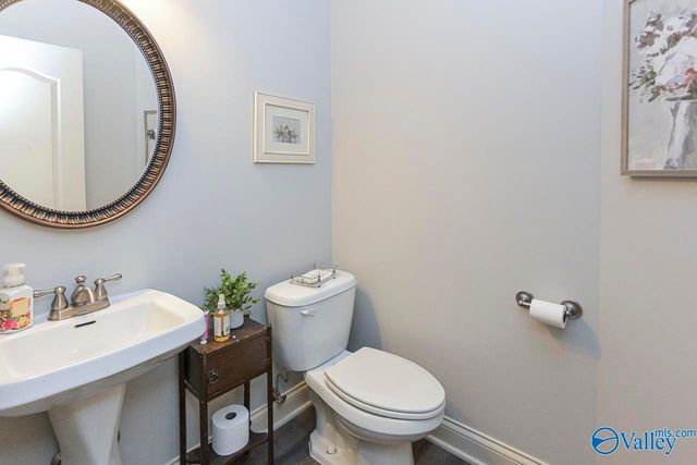 25166 Castlebury Drive, Athens, AL 35613