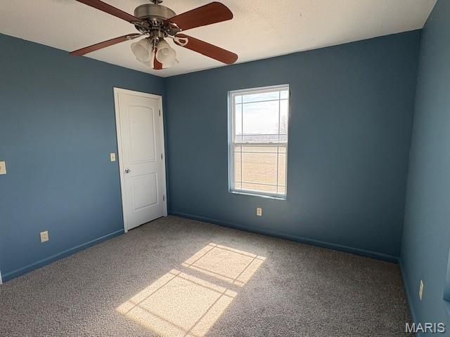 1013 Z And Z Road, Greenville, IL 62246