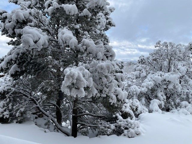720 Panorama, Santa Fe, NM 87501