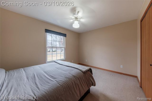 53225 Luann Drive, Shelby Twp, MI 48316